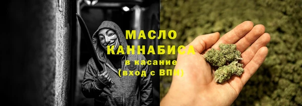 крисы Верхний Тагил