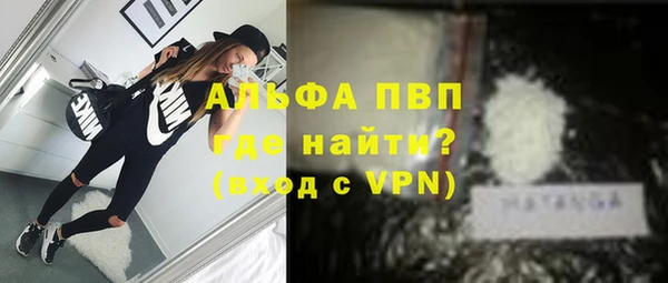 крисы Верхний Тагил