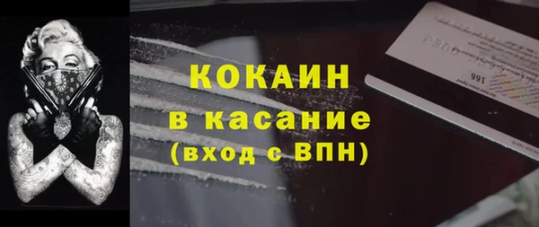 крисы Верхний Тагил