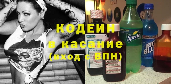 крисы Верхний Тагил