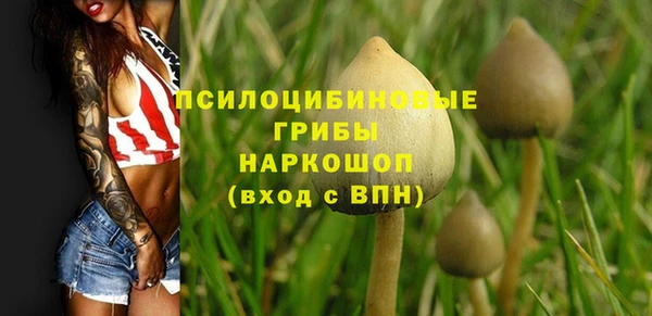 крисы Верхний Тагил